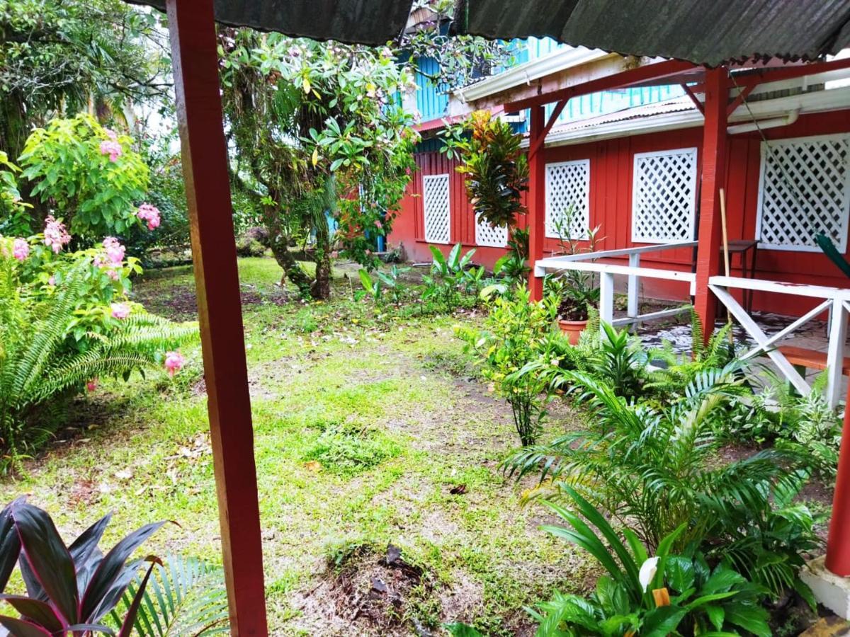 Hospedaje Meryscar Tortuguero Exteriör bild