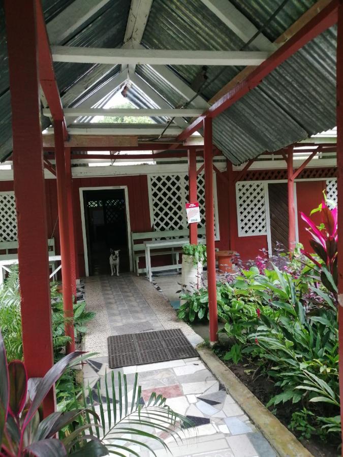 Hospedaje Meryscar Tortuguero Exteriör bild