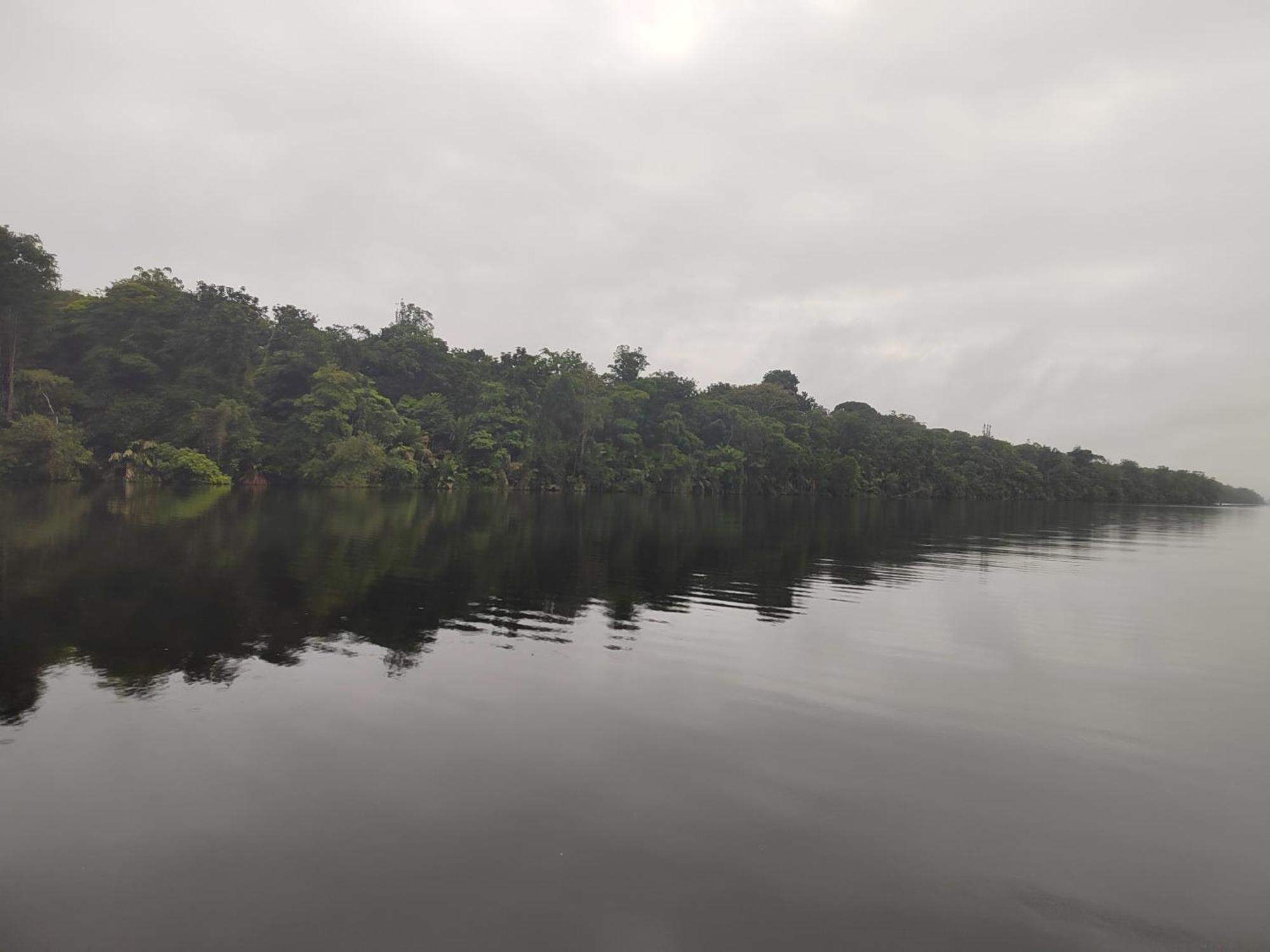 Hospedaje Meryscar Tortuguero Exteriör bild