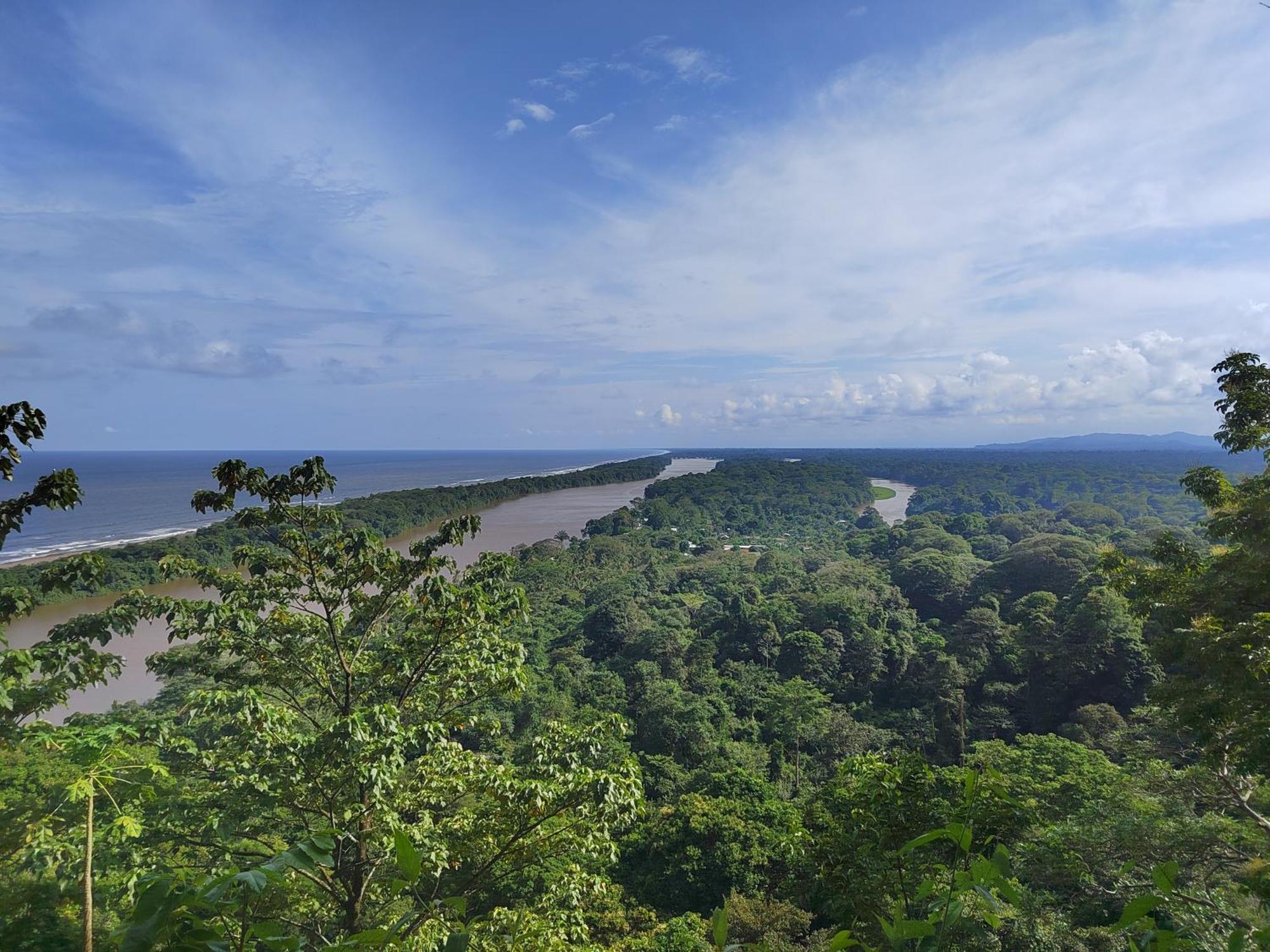 Hospedaje Meryscar Tortuguero Exteriör bild