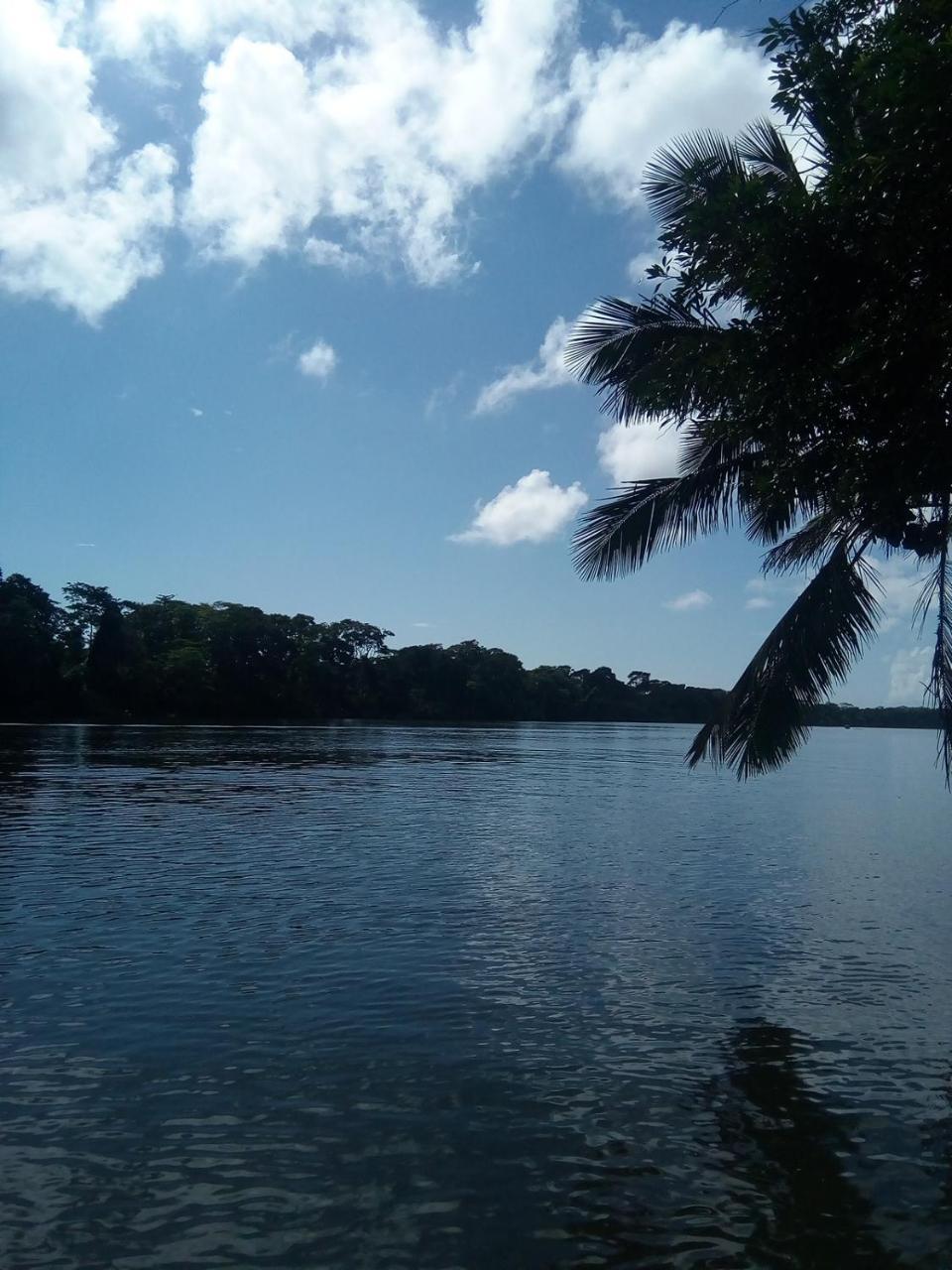 Hospedaje Meryscar Tortuguero Exteriör bild