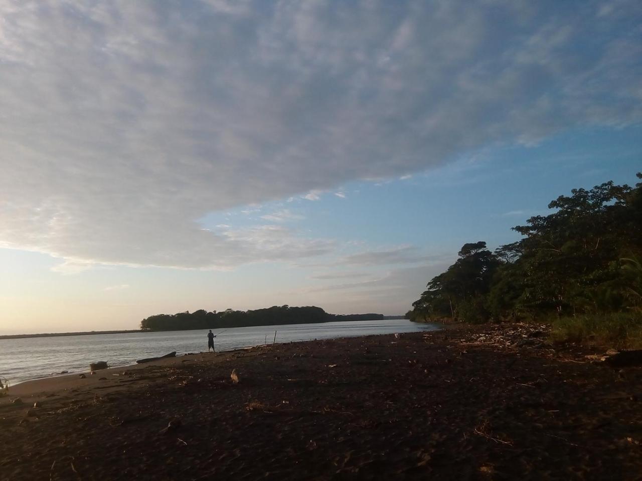 Hospedaje Meryscar Tortuguero Exteriör bild