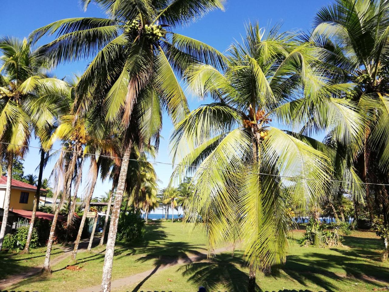 Hospedaje Meryscar Tortuguero Exteriör bild